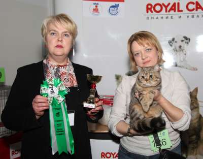 �������� ����� '������� ���-�����' 30 ������-1 ������� 2013., ������������ ��� 3042